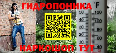 крисы Будённовск