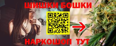 крисы Будённовск
