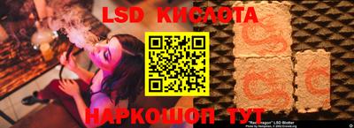 крисы Будённовск