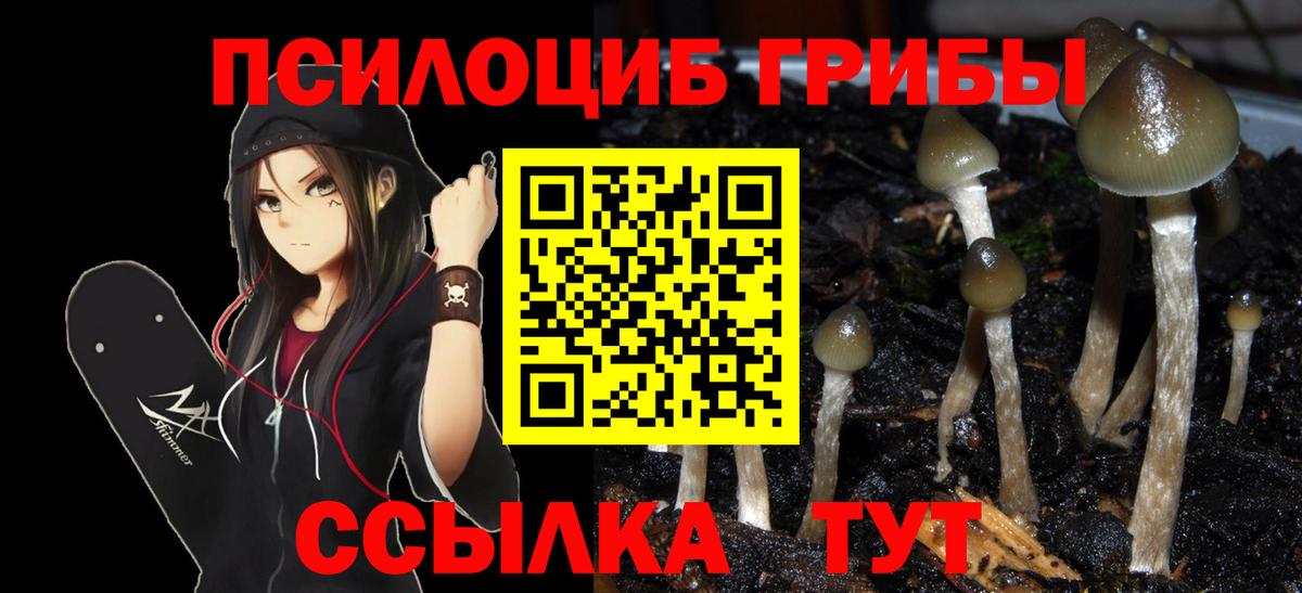Нефтекамск  Галлюциногенные грибы Psilocybine cubensis  Вход с VPN  Псилоцибиновые грибы Psilocybine cubensis 