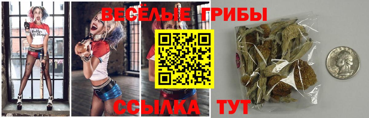 Псилоцибиновые грибы ЛСД Нефтекамск